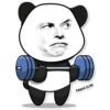 PandaElon 16