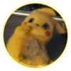 Pikachu 16