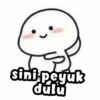 Tojin ngepack Quby 22