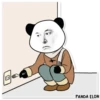 PandaElon 17