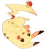POKEMON 19