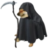 Perrito Sugoi 16