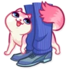Pussy Cat 17