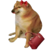 Perrito Sugoi 17