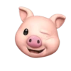 свинья 11