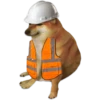 Perrito Sugoi 18