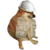 Perrito Sugoi 19