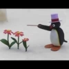 pingu 20