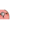 potato 22