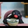 pingu 21