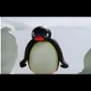 pingu 22