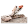 Pug 6