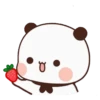 PandaGemoi 20