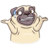 Pug Power 19