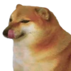 Perrito Sugoi 22