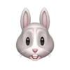 Memoji de coelho 11