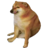 Perrito Sugoi 24