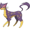 5th Gen Pokémon 24