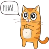 Puppy Kitte 17