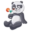 PandaS 17