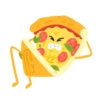 Pizza 13