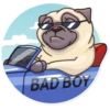Pug Power 20