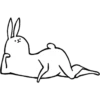 Rabbit With Beautiful Legs 21