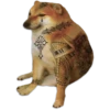 Perrito Sugoi 25