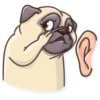 Pug Power 23