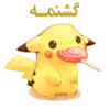 POKEMON 25
