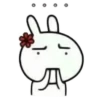 RABBIT 13
