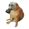 Perrito Sugoi 26