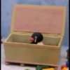 pingu 25