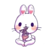Pink Bunny 27