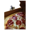 Pug 9
