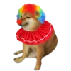 Perrito Sugoi 28