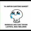 Lope2 14