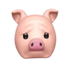 свинья 13