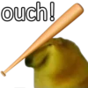 Perrito Sugoi 29