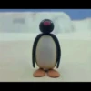 pingu 27