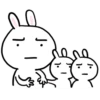 RABBIT 16