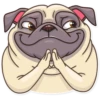 Pug Power 26