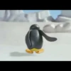 pingu 28
