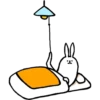 Rabbit With Beautiful Legs 27