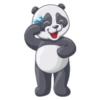 PandaS 22