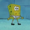 Sponge Bob 28