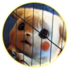 Pikachu 21