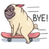 Pug Power 28