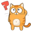 Puppy Kitte 19