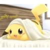 POKEMON 29